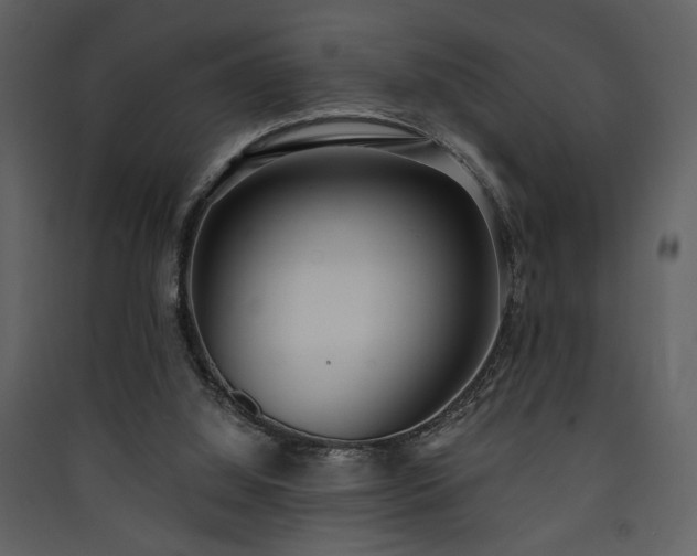 X0000090420060200707131217