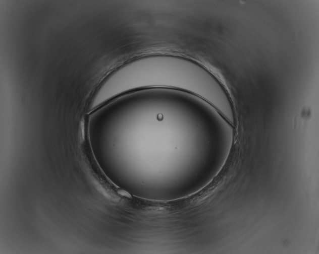 X0000090420061200707131217