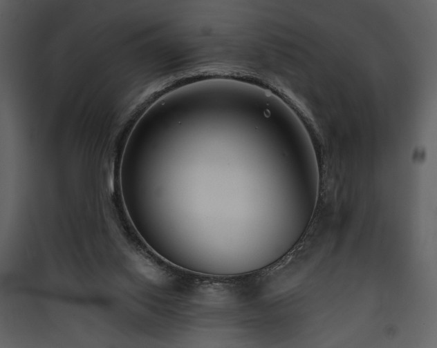 X0000090420062200707131217