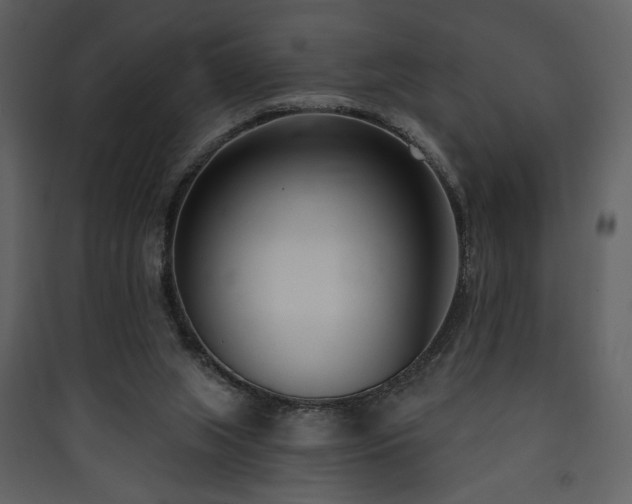 X0000090420063200707131217