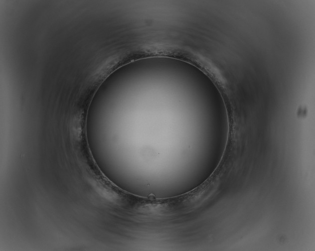 X0000090420065200707131217