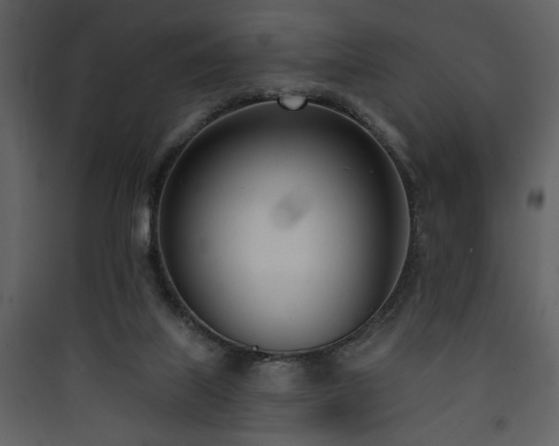 X0000090420067200707131217