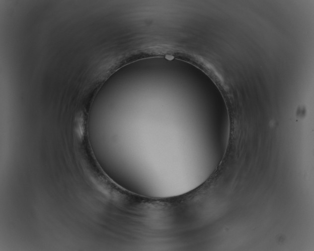 X0000090420069200707131217