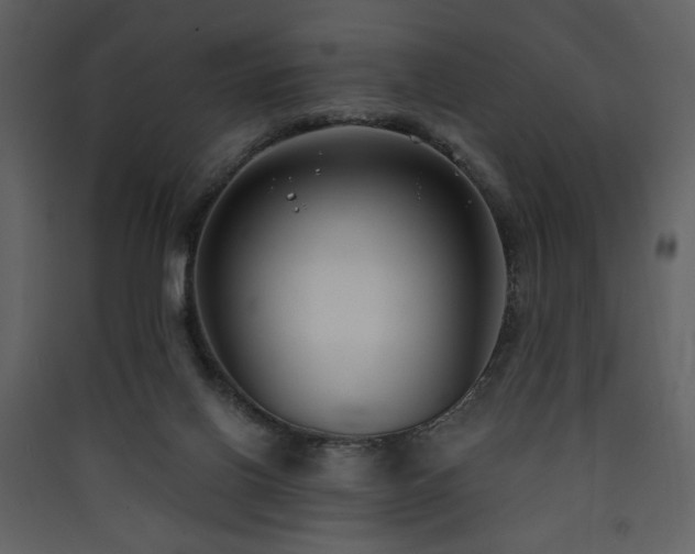 X0000090420070200707131217