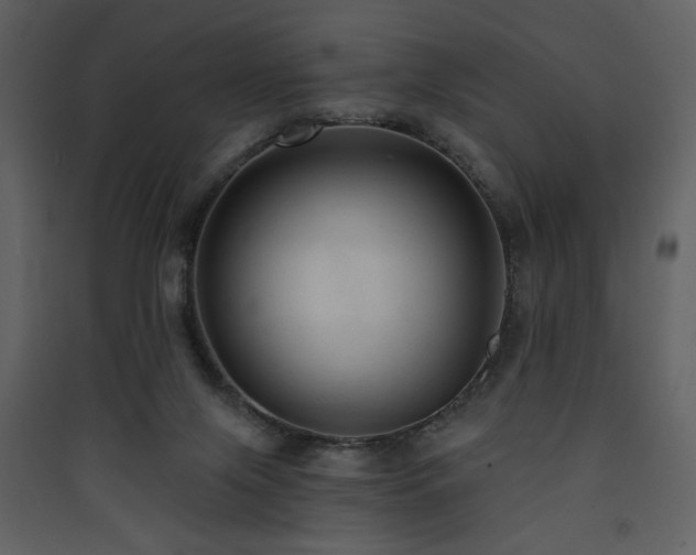 X0000090420071200707131217