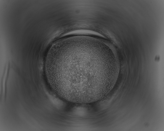 X0000090420072200707131217