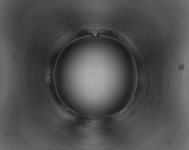 X0000090420074200707131217