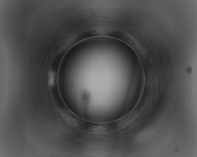 X0000090420075200707131217