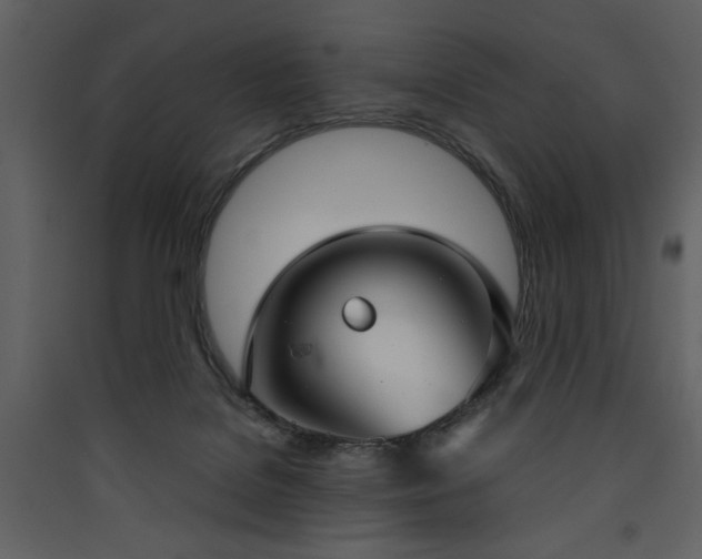 X0000090420076200707131217