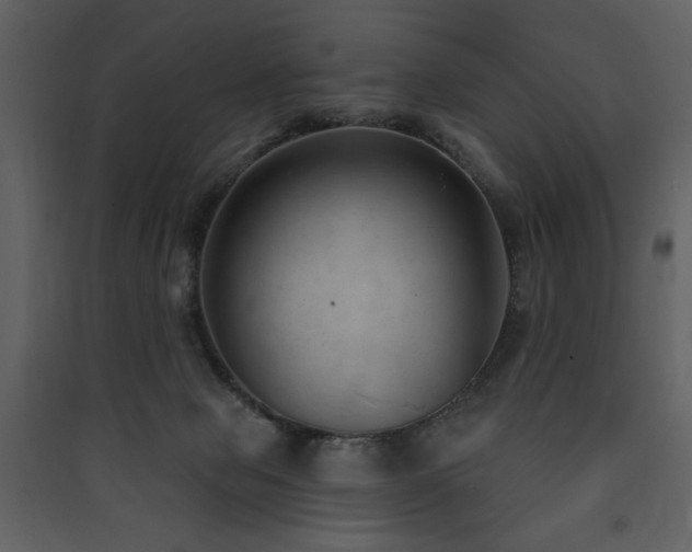 X0000090420077200707131217