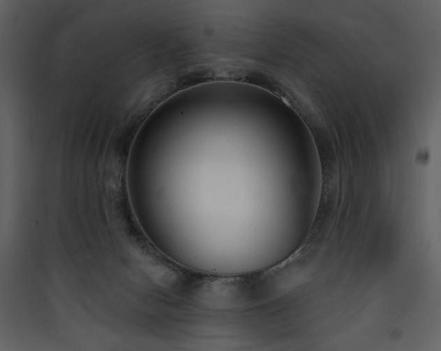 X0000090420078200707131217