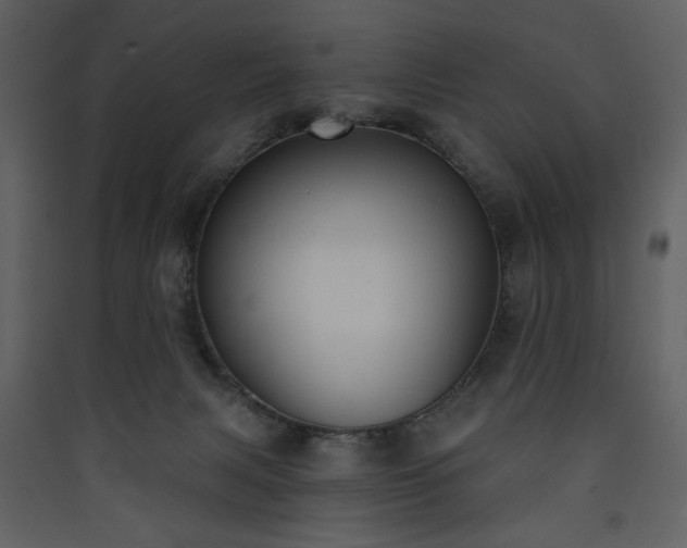 X0000090420079200707131217