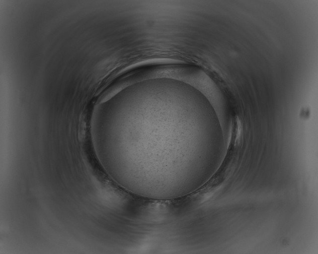 X0000090420080200707131217