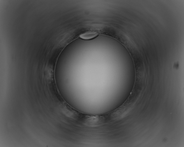 X0000090420083200707131217