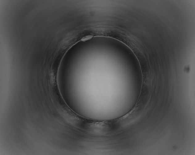 X0000090420086200707131217