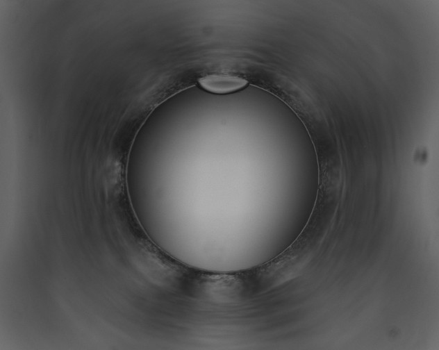 X0000090420087200707131218