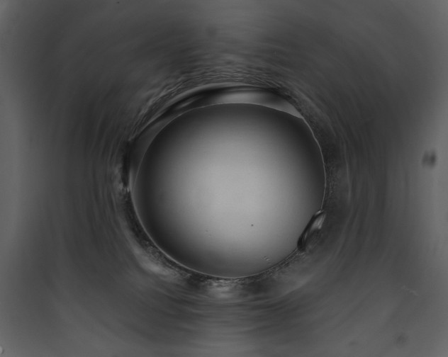 X0000090420088200707131218