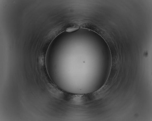 X0000090420090200707131218