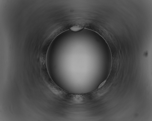 X0000090420091200707131218