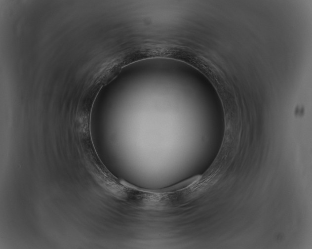 X0000090420096200707131218