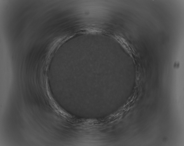 X0000090420097200707131217