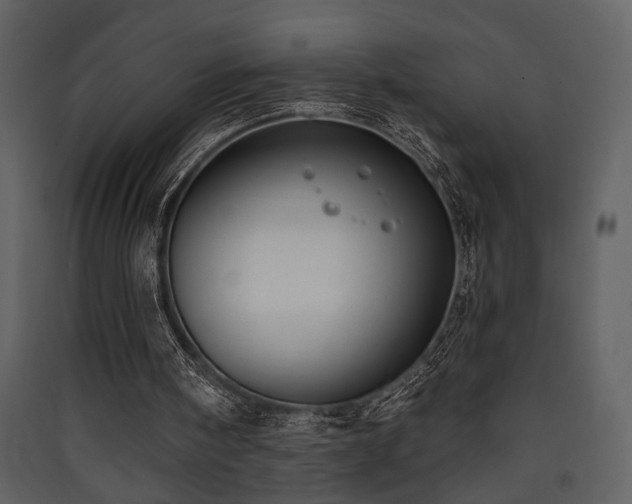 X0000090420098200707131217