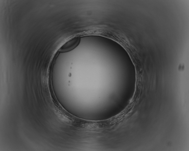 X0000090420100200707131217