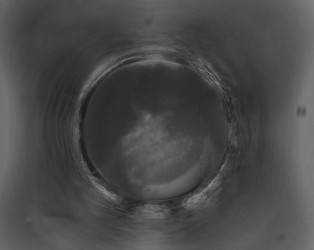X0000090420101200707131217