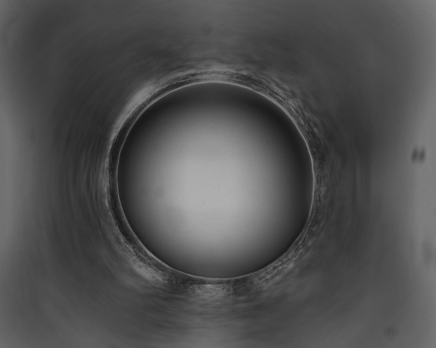 X0000090420102200707131217