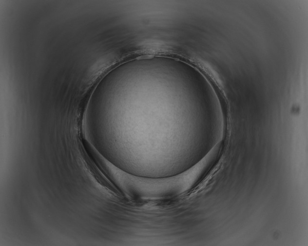X0000090420105200707131217