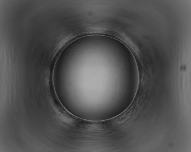 X0000090420107200707131217