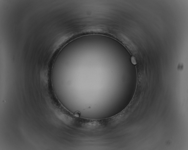 X0000090420112200707131217