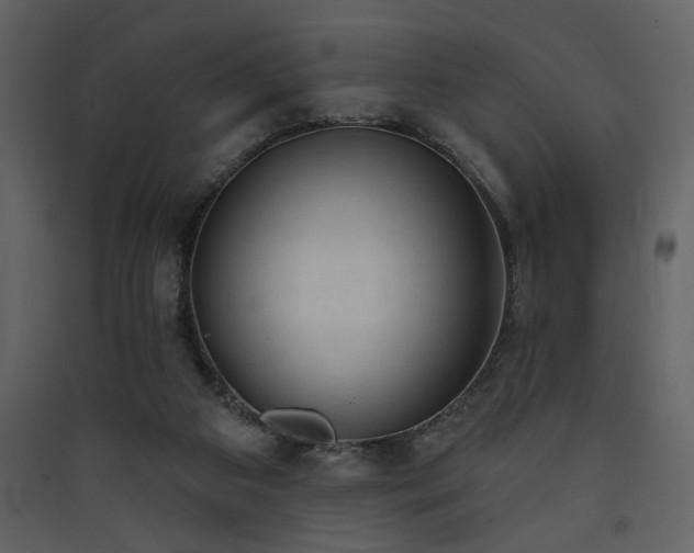 X0000090420113200707131217