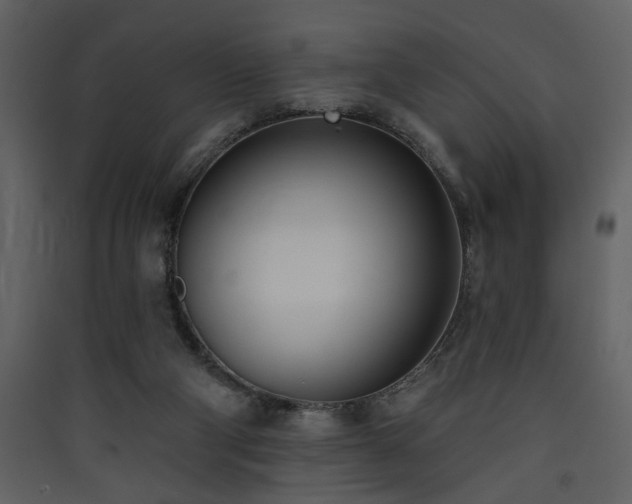 X0000090420114200707131217