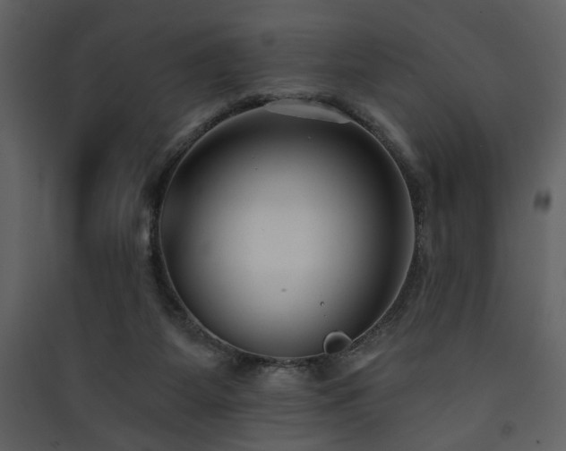 X0000090420115200707131217
