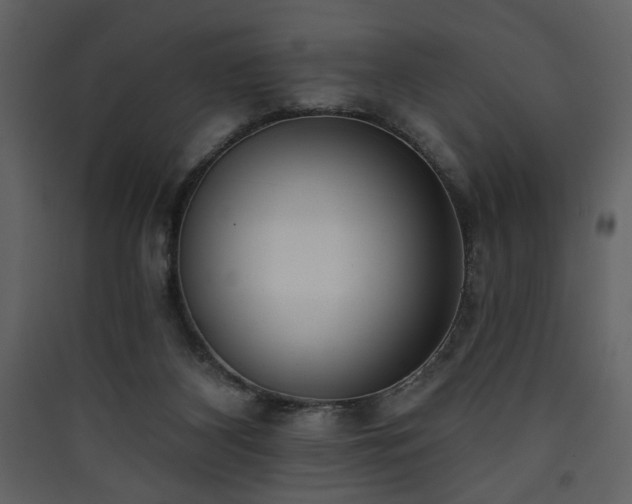 X0000090420116200707131217