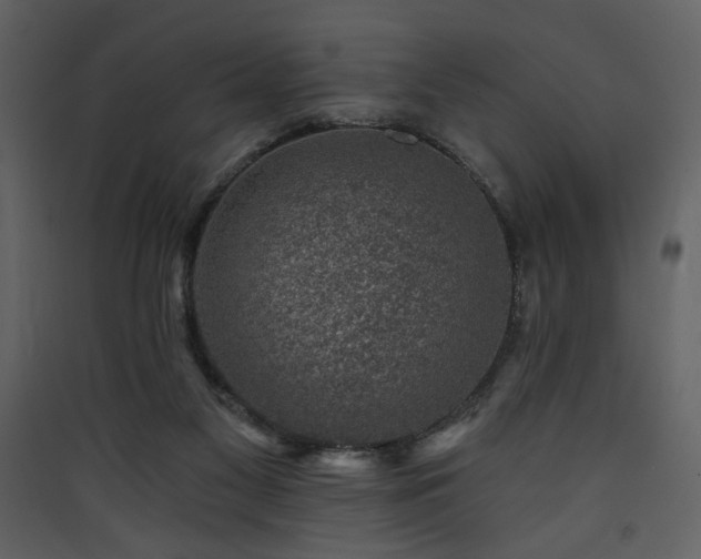X0000090420117200707131217