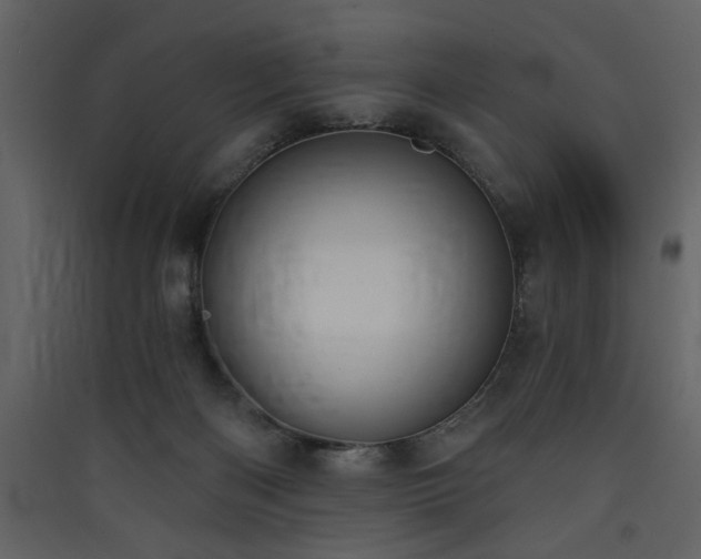 X0000090420122200707131216