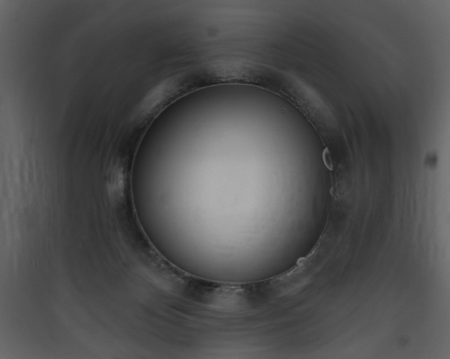 X0000090420124200707131216