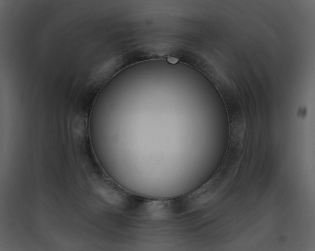 X0000090420126200707131216