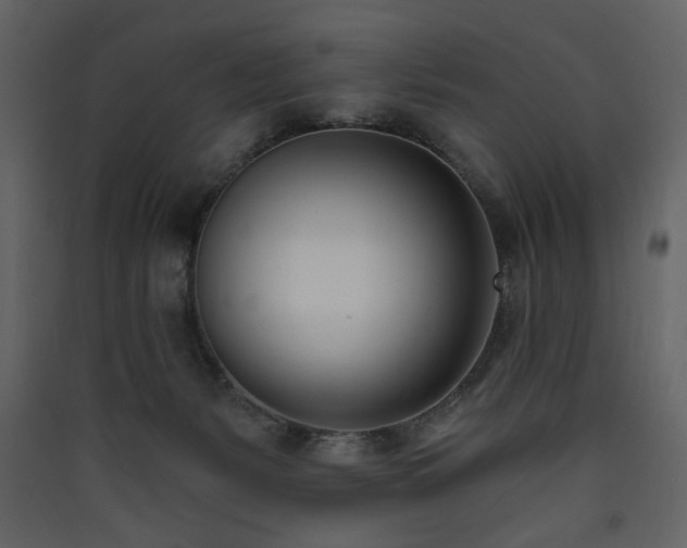 X0000090420127200707131216
