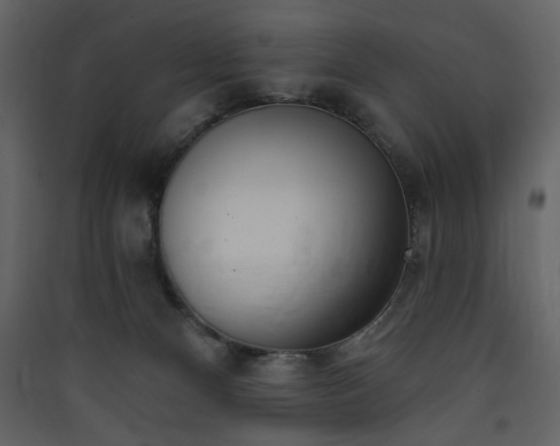 X0000090420128200707131216