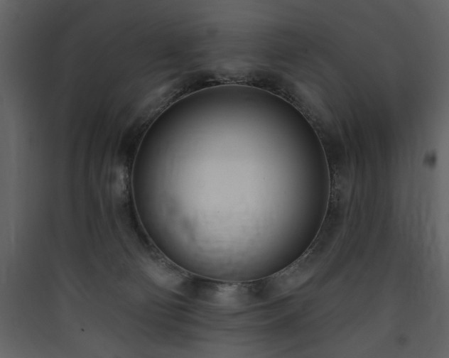 X0000090420130200707131216