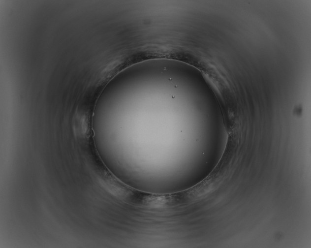 X0000090420131200707131216