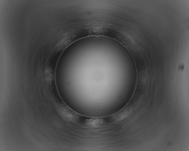 X0000090420135200707131216