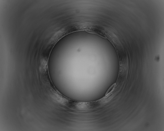 X0000090420142200707131216