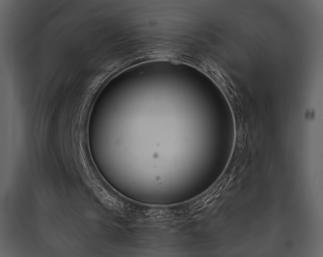 X0000090420145200707131215