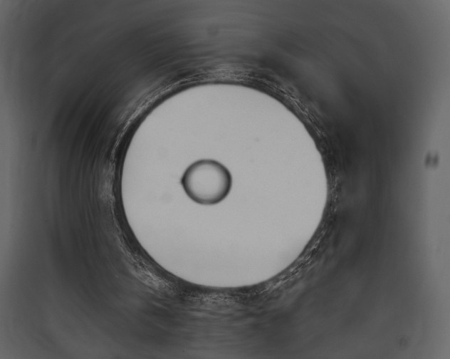 X0000090420146200707131215