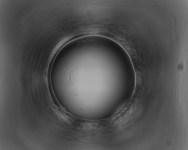 X0000090420147200707131215