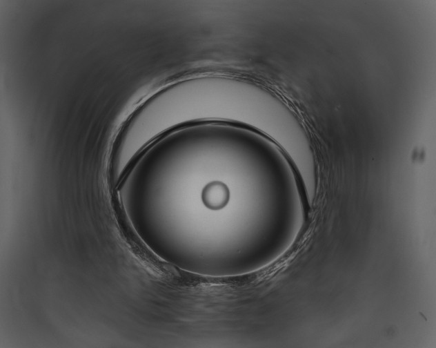X0000090420150200707131216